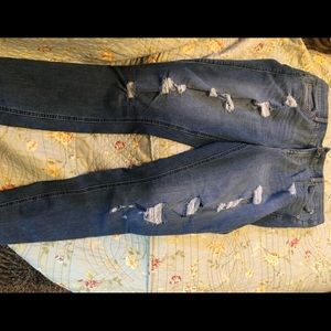 Torrid Bombshell Skinny Jeans